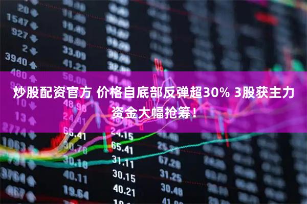炒股配资官方 价格自底部反弹超30% 3股获主力资金大幅抢筹！